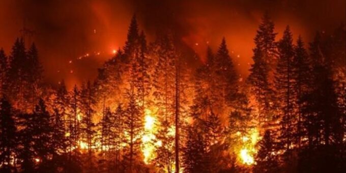 thumbs b c 3c3323c410ed8f27bf7d51e13dc37eb8