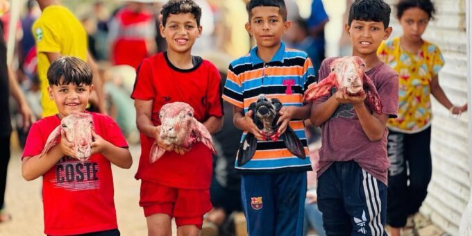 photo 2024 06 16 09 01 48