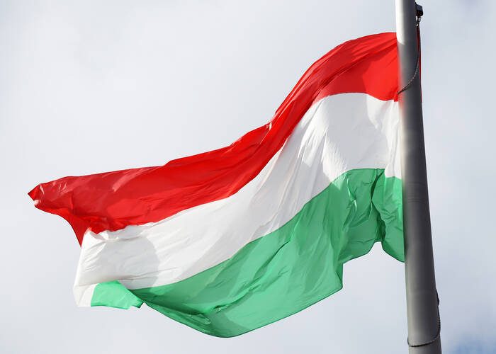 hungarian flag hungary (1)