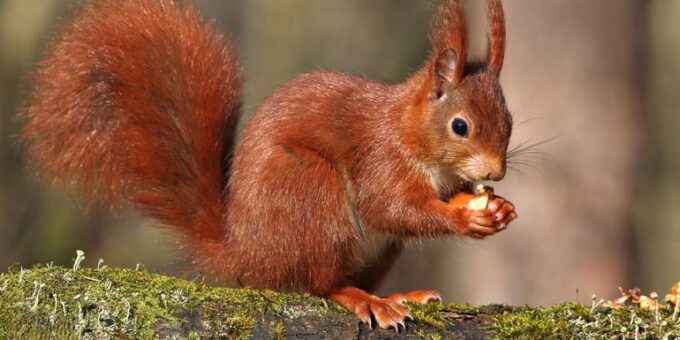 ef2b90d7 2ad2 4c4a 8d09 e265a335eb1f