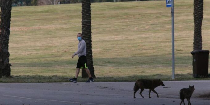 9909141 0 87 980 552 x large