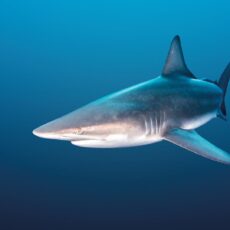 1532226189 108 0 1891 1003 1920x0 80 0 0 810a9c1cefb483b0976233b2d3a18cee