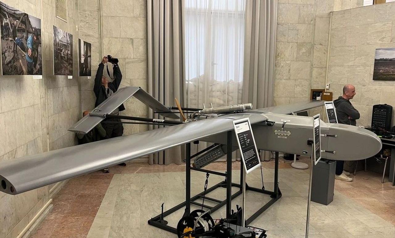 large 2816863 17287308 dfa28ae183