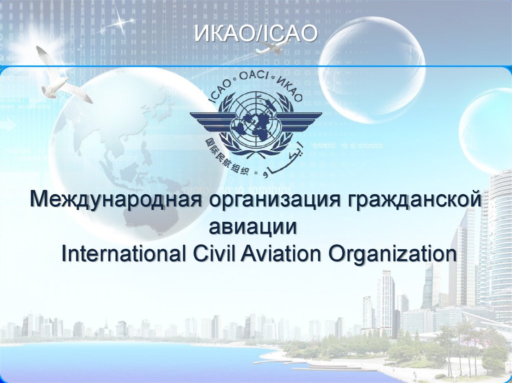 Россия попросила ИКАО смягчить санкции, сославшись на угрозу безопасности полетов