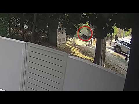 youtube placeholder image